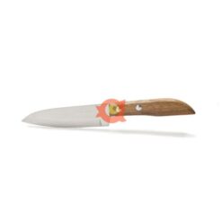Kiwi Fruit Knife (10 cm)